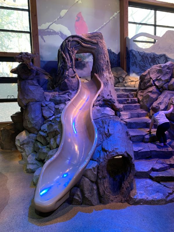 Photo 2 of Zoomazium @ Woodland Park Zoo