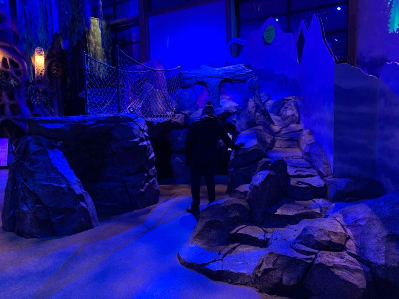 Photo 13 of Zoomazium @ Woodland Park Zoo