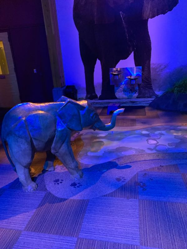 Photo 15 of Zoomazium @ Woodland Park Zoo