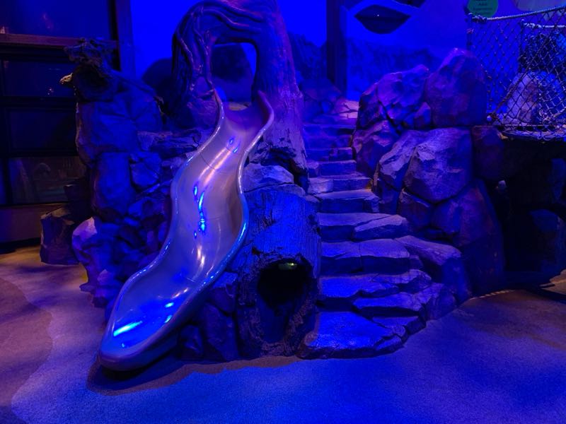 Photo 9 of Zoomazium @ Woodland Park Zoo