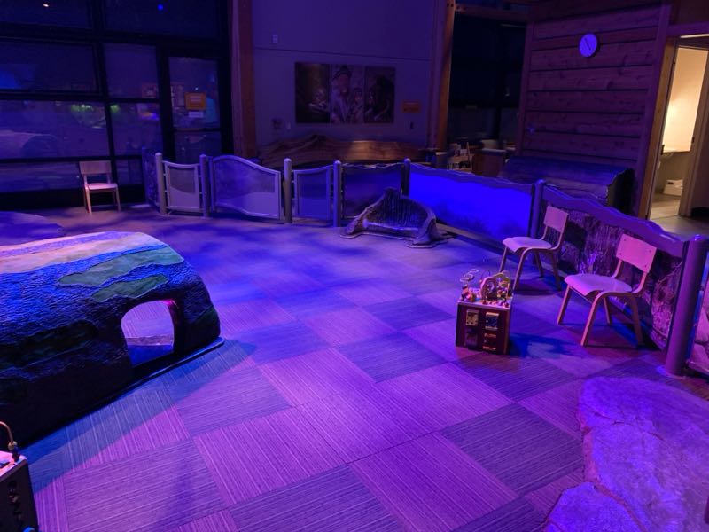 Photo 12 of Zoomazium @ Woodland Park Zoo