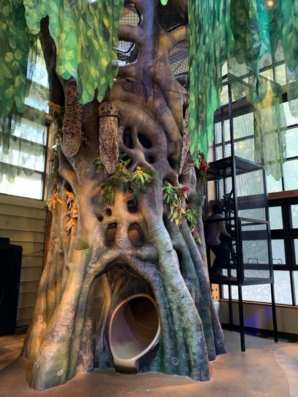 Photo 6 of Zoomazium @ Woodland Park Zoo