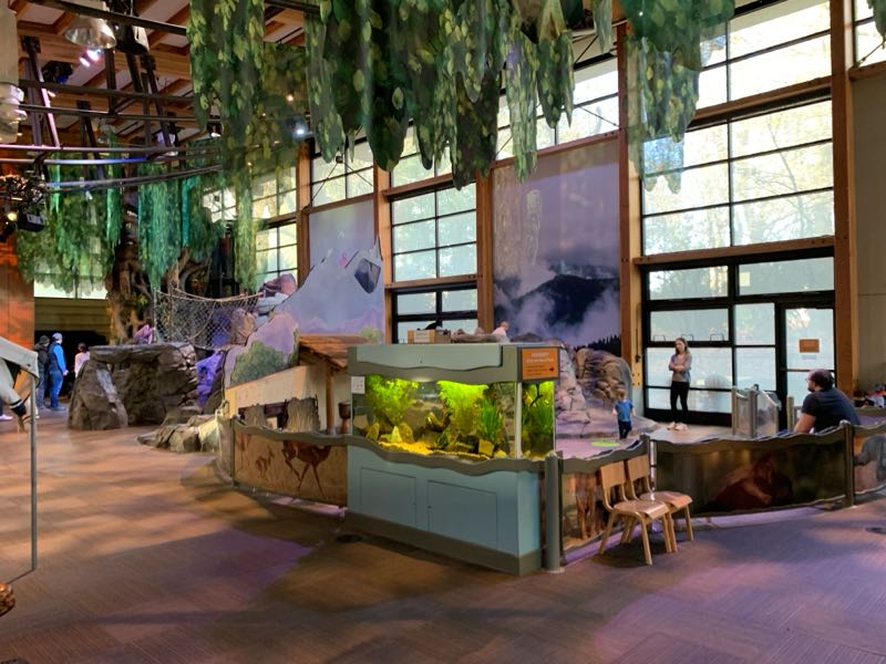 Photo 1 of Zoomazium @ Woodland Park Zoo