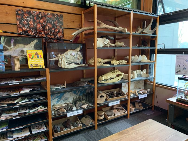 Photo 8 of Zoomazium @ Woodland Park Zoo