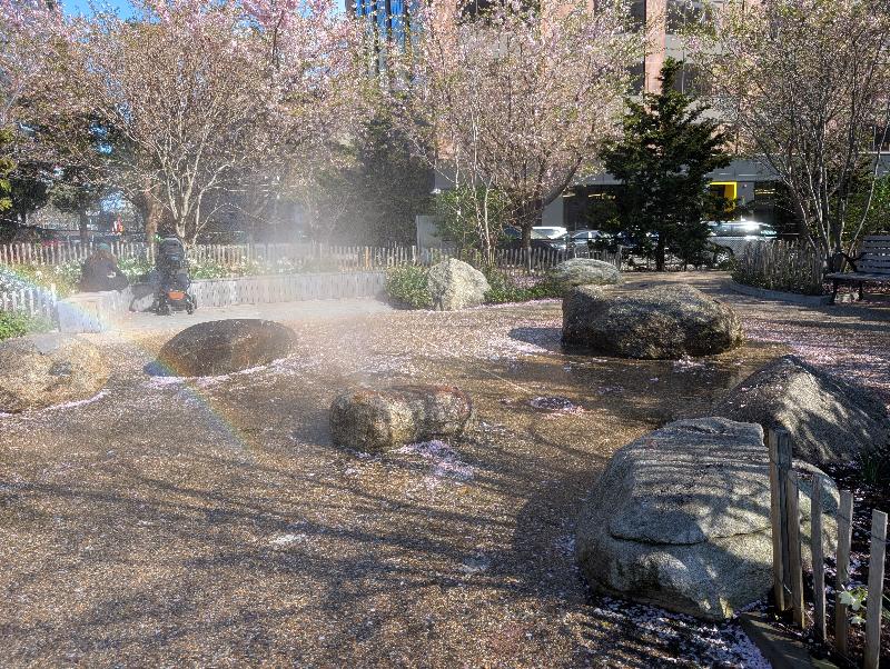 Photo 5 of Martin's Park