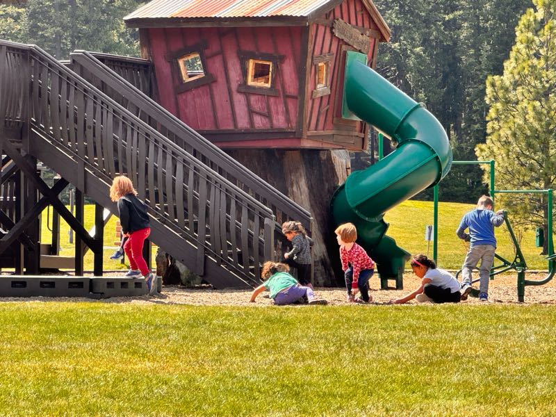 Photo 5 of Dawson Park
