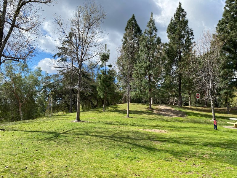 Photo 4 of Montrose Community Park