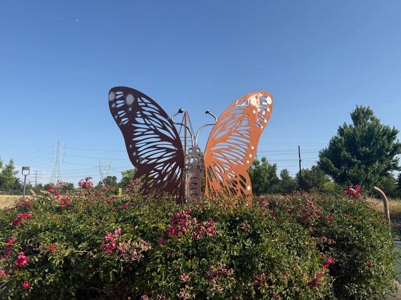 Photo 7 of Mahany Park