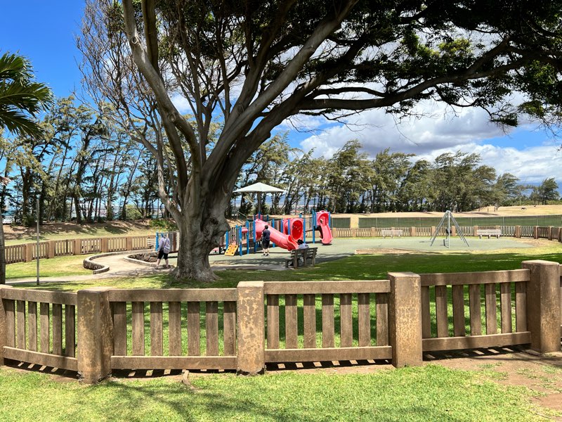Photo 3 of Hui Aloha Playground